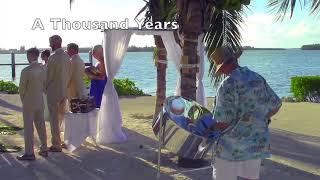 A Thousand Years  steel drums unplugged [upl. by Alyks]