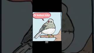 annoyed bird meme memes gachalife fufufafa [upl. by Pammy]