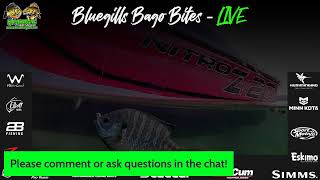 Bluegills Bago Bites LIVE  Bago System Report June 11 2024 [upl. by Suzetta745]