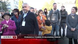 Frumuseţile toamnei pe Bulevardul Pardon  11 11 2024 [upl. by Bannerman]