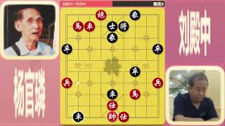 XHUB  Master of Xiangqi Duong Quan Lan 173  chinese chess vs go [upl. by Nahtal]