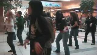 Thriller flash mob at Market Mall [upl. by Eloken322]