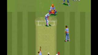 010 super international cricket [upl. by Neelak986]