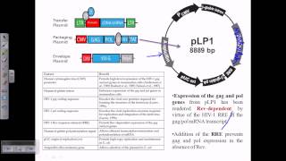 Gene therapy using retrovirus vector [upl. by Opaline375]