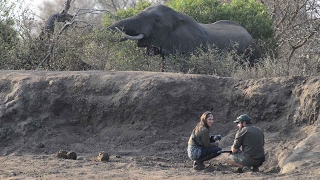 Africa on Foot  Kruger Park Walking Safaris [upl. by Nnyltiak204]