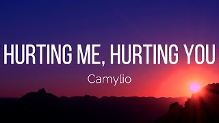 Camylio  hurting me hurting you Lyrics [upl. by Harahs]