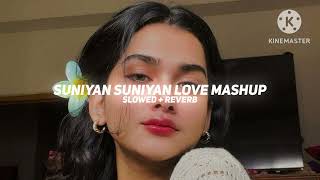 Suniyan Suniyan Love Mashup 2024  Nonstop  Jukebox 2024  MASHUP LOFI [upl. by Ellen]