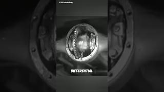 Differential System ⚙️ [upl. by Lesya]