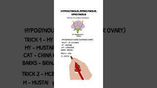 trick to learn examples of hypogynousperigynous and epigynous flowers share neet biology like [upl. by Ayikahs]