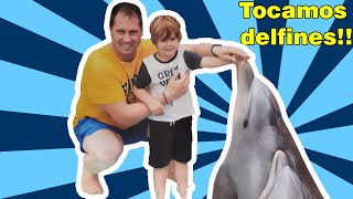 MARINELAND Cataluña  1 día con los delfines y parque acuático 🐬 [upl. by Ferree]