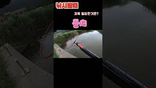 낚시할때 꼬옥 필요한것은 배스 루어 낚시 korea bass lure fishing fishing 뜰채 [upl. by Jamin]