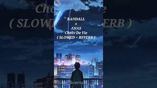 RANDALL x ANAS Choix De Vie  SLOWED  REVERB  lofi song [upl. by Rellek858]