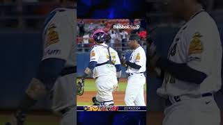 Alexi Amarista se luce con esta joya a la defensiva🔥🔥🐯 LVBP Tigres Hightlight Beisbol Venezuela [upl. by Keyes800]