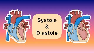 Systole und Diastole [upl. by Priestley]