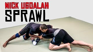 How to Sprawl Hard and Stop the Takedown [upl. by Annodam]