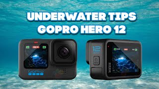 Underwater Tips  GoPro Hero 12 [upl. by Maire800]