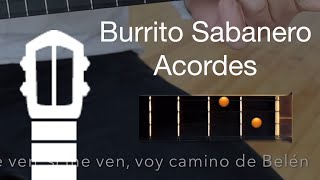 Burrito Sabanero  Canta con el Cuatro [upl. by Musihc]