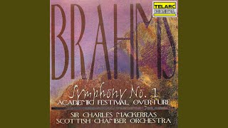 Brahms Symphony No 1 in C Minor Op 68 II Andante sostenuto [upl. by Gearard695]