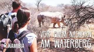 Waterberg amp Nashörner • Namibia Roadtrip • Weltreise Vlog 152 [upl. by Dnallor]