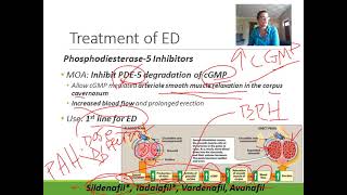 Pharmacology Urologic Disorders [upl. by Ebneter]