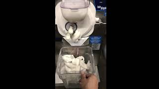 Carpigiani LB100 Gelato Ice Cream Machine Mix Test [upl. by Emmery]