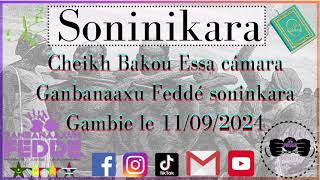 Cheikh Bakou Essa cámara Ganbanaaxu Feddé soninkara Gambie 11092024 [upl. by Reinke651]