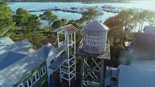 Aerial View of Sandestin Golf and Beach Resort [upl. by Neeven]