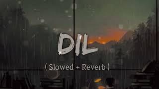 DIL  Sad Song  Slowed  Reverb   Lofi [upl. by Garlinda]