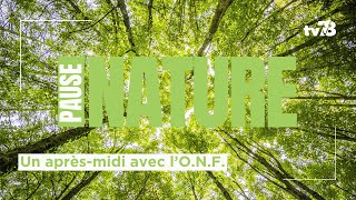 La Pause Nature  un aprèsmidi avec l’ONF [upl. by Kcor]