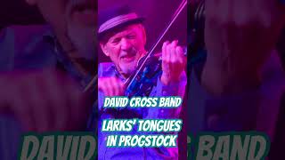 Larks’ Tongues in Progstock 24’ [upl. by Annoerb]