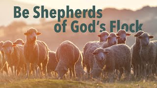 Message Be Shepherds of God’s Flock – Nick Hardy [upl. by Roland]