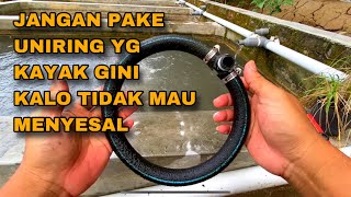 PENGALAMAN 4 TAHUN PAKE UNIRING UNTUK BUDIDAYA IKAN NILA  KENDALA DAN CARA MENGATASINYA [upl. by Yssis]