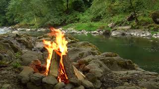 Campfire for Your Home Daytime by the River With Music [upl. by Kcirdot]