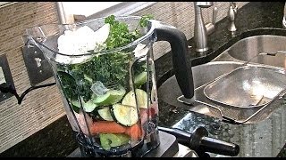 Vitamix Professional Series 750 Blender review [upl. by Clari622]