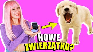 ADOPTOWAŁAM SŁODKIE ZWIERZĄTKA 🐶 Bitzee [upl. by Ardy279]