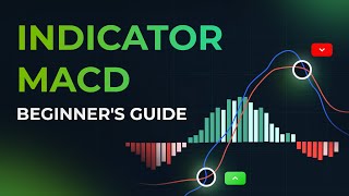 How to Use the MACD Indicator Simple Explanation by the Analyst [upl. by Nnaesor]