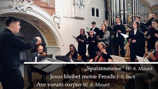 Spatzenmesse W A Mozart  Christoph Mairiedl  Primiz Moritz Waldhauser [upl. by Immanuel853]