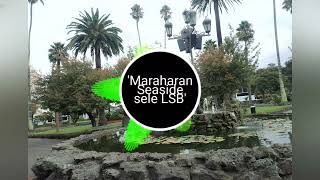 Sele Local String Band  Maraharan Seaside 🔥🍺🇻🇺 [upl. by Stubbs]