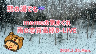 【meme DLIVE志賀高原 道路状況 】熊の湯でも☔️2024325Mon [upl. by Natrav]