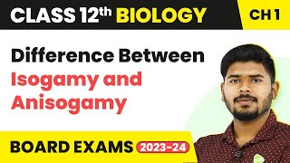 Difference Between Isogamy and Anisogamy  Class 12 Biology Chapter 1 NCERTNEET 202223 [upl. by Ocin]