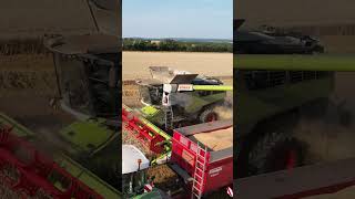 BEST OF AGRICOLE 2023 Part 3  DAMIEN AGRI TP [upl. by Sholom]