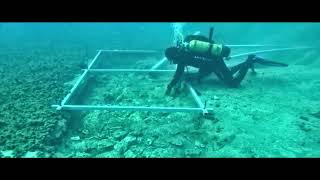 7000 year old road discovered at the bottom of Mediterranean Sea [upl. by Angrist]