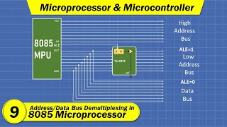 AddressData Demultiplexing in 8085 Microprocessor  Microprocessor and Microcontroller in Hindi [upl. by Jaenicke]