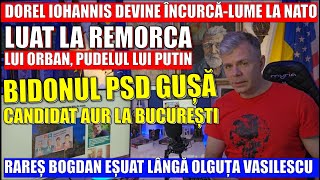 Jocul bizar al lui Iohannis la NATO Putin profită Rusofilul Cozmin Gușă candidat AUR la București [upl. by Annayhs421]