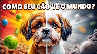 🌈 Desvendando o Segredo da VISÃO dos Cachorros em 5 Minutos [upl. by Ahdar]