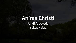 Anima Christi Instrumental [upl. by Amandi287]