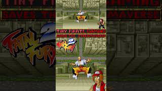 A Brief History of FATAL FURY 2 terrybogard fatalfury2 gaming snk snkneogeo [upl. by Pooi]