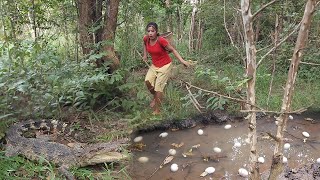 Wow Brave Girl Catches crocodile and Pick some eggs for jungle cooking amp Eating Delicious [upl. by Nivrek]