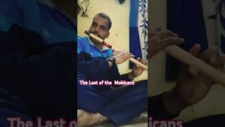 The Last Of The Mohicans flute version mohican mohican flutemusic song [upl. by Werd]