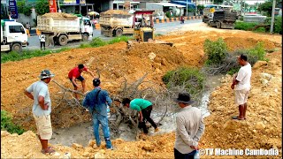 1DAY Full Action Project Land Filling Up KOMATSU Dozer D31P Pushing Stone And Truck 5T Unloading [upl. by Leinad]